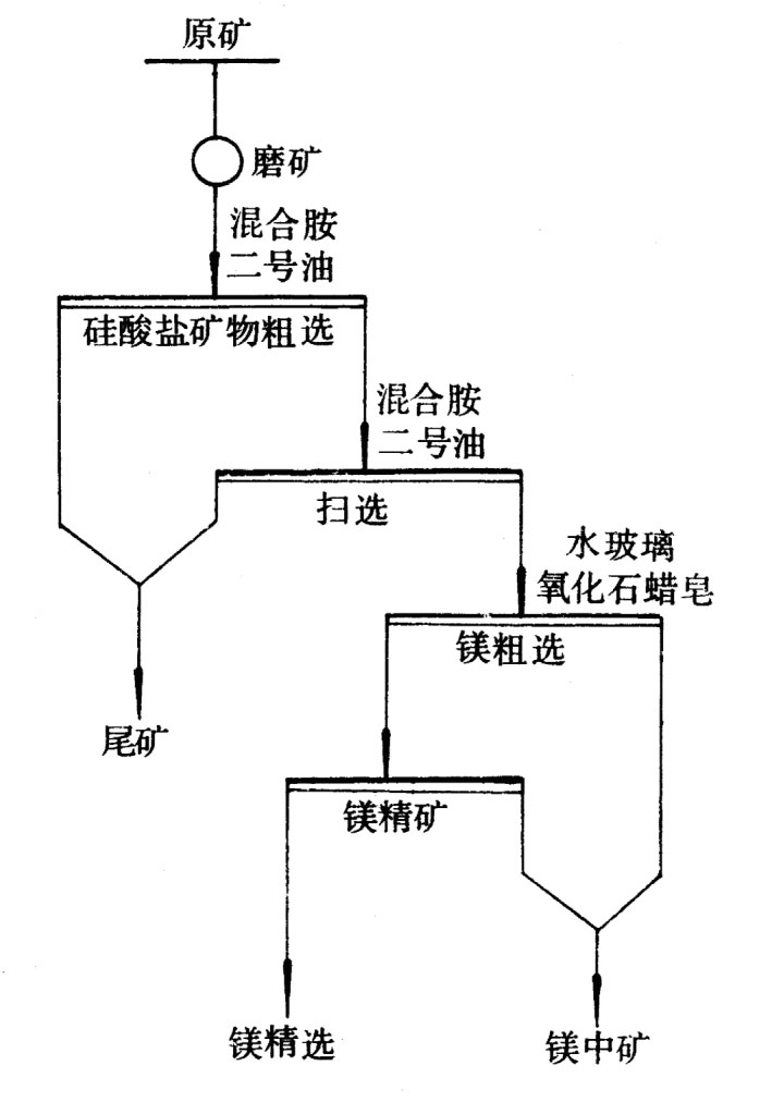 菱镁矿选矿技术简述