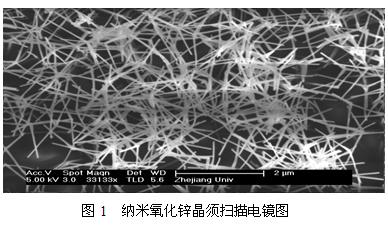 纳米氧化锌 晶须