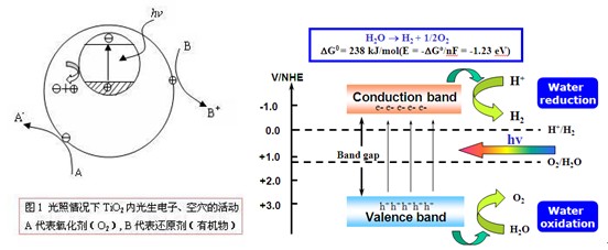 二氧化钛光催化反应原理图