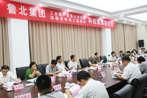 工业副产石膏综合利用技术鉴定会