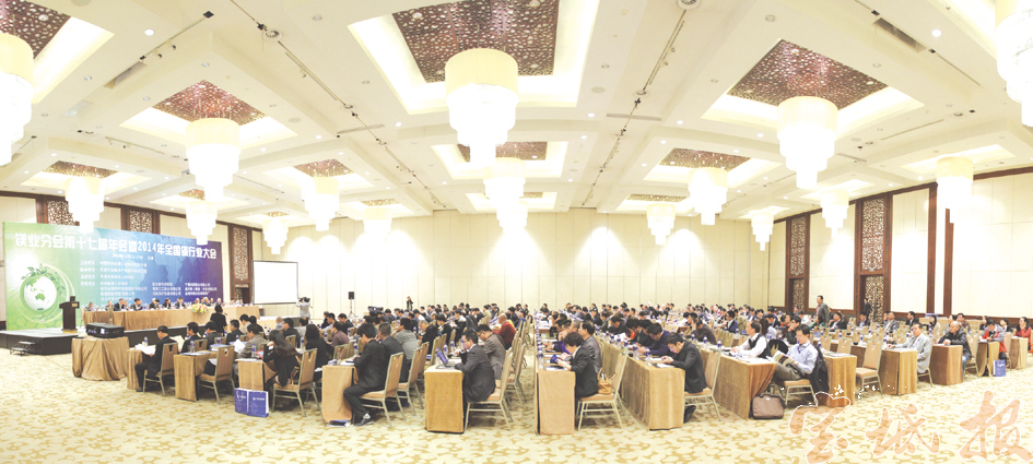 2014年全国镁行业大会在天津顺利召开