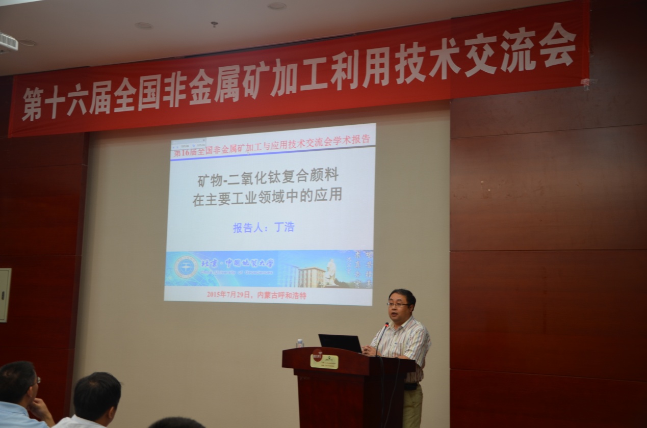 中国地质大学(北京)丁浩教授在作报告