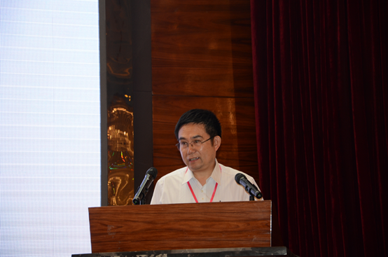 中国粉体技术网 建筑材料工业技术情报研究所崔源声教授做《中国粉煤灰产业现状及发展方向》专题报告
