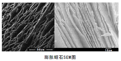 中国粉体技术网 膨胀蛭石SEM图