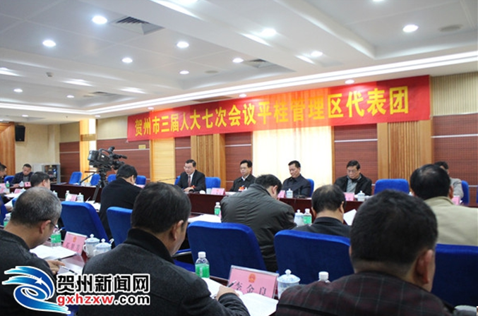 贺州市审议十三五规划——突出碳酸钙产业发展成为讨论热点