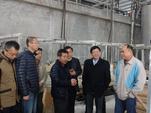技术改造促进恩平“中国纳米碳酸钙产业基地”转型升级