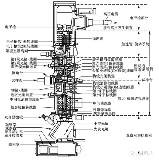 透射电子显微镜的剖面结构