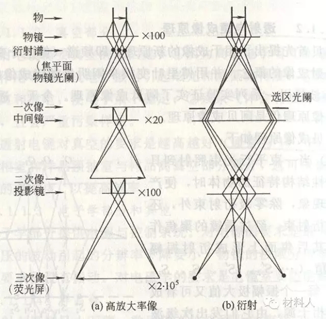 TEM中成像(a)和成衍射谱(b)的光路图