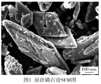 原状磷石膏SEM图