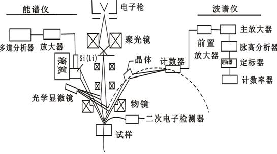 图1 电子探针仪的结构示意图