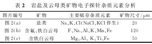 表2 岩盐及云母类矿物电子探针杂质元素分析