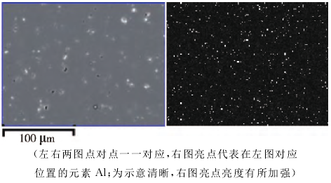 图6 元素A1面扫描图像