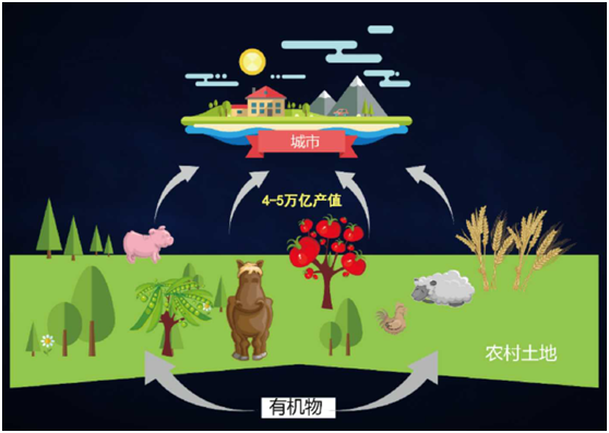 薛涛：固废产业年度盘点