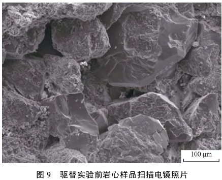 驱替实验前岩心样品扫描电镜照片