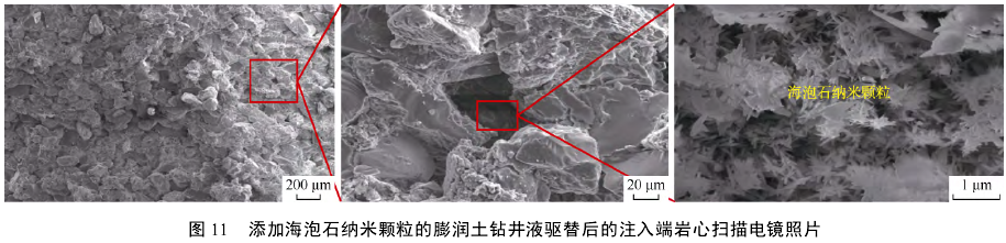 添加海泡石纳米颗粒的膨润土钻井液驱替后的注入端岩心扫描电镜照片