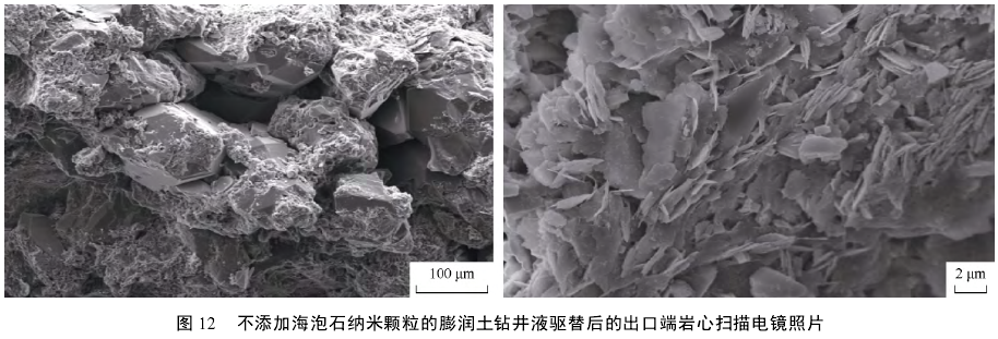 不添加海泡石纳米颗粒的膨润土钻井液驱替后的出口端岩心扫描电镜照片