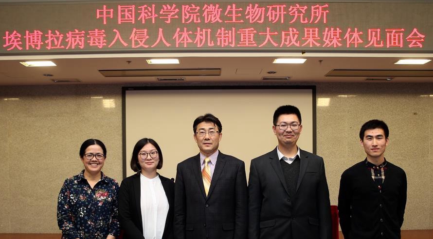 中科院学者揭示了埃博拉病毒入侵人体细胞模式