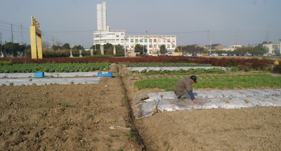 密友集团董事长吴建明为保障员工用水健康引进VWA细胞功能水