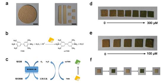 中科院研制出新型羟基磷灰石超长纳米线基快速检测试纸