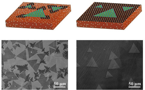 图1 高质量graphene/h-BN平面异质结的CVD制备