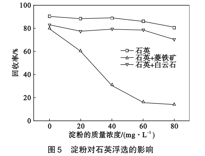 菱铁矿和白云石对石英浮选的影响