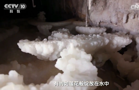 地理中国:碳酸钙遇到稀盐酸居然不冒泡?