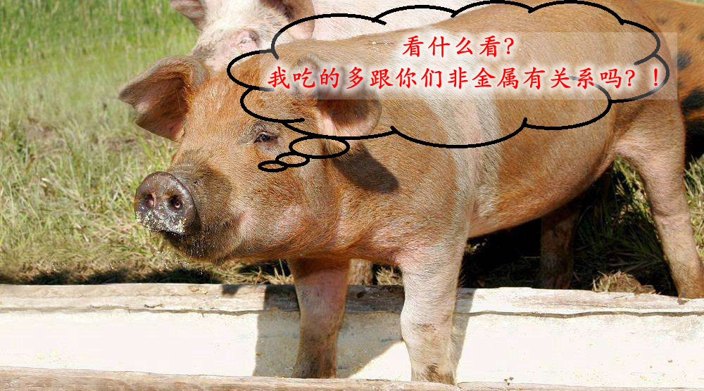 周岩民教授：高价值非金属矿在饲料中的技术要求及产业现状！ 