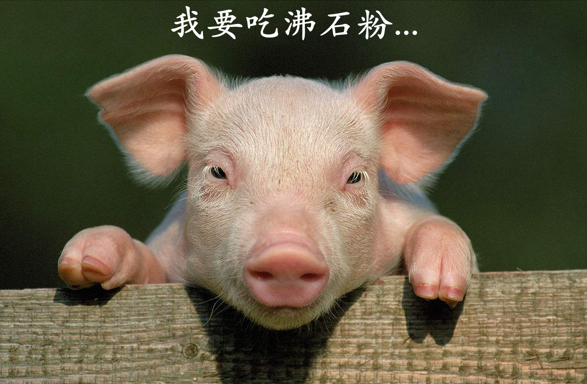 周岩民教授：高价值非金属矿在饲料中的技术要求及产业现状！ 