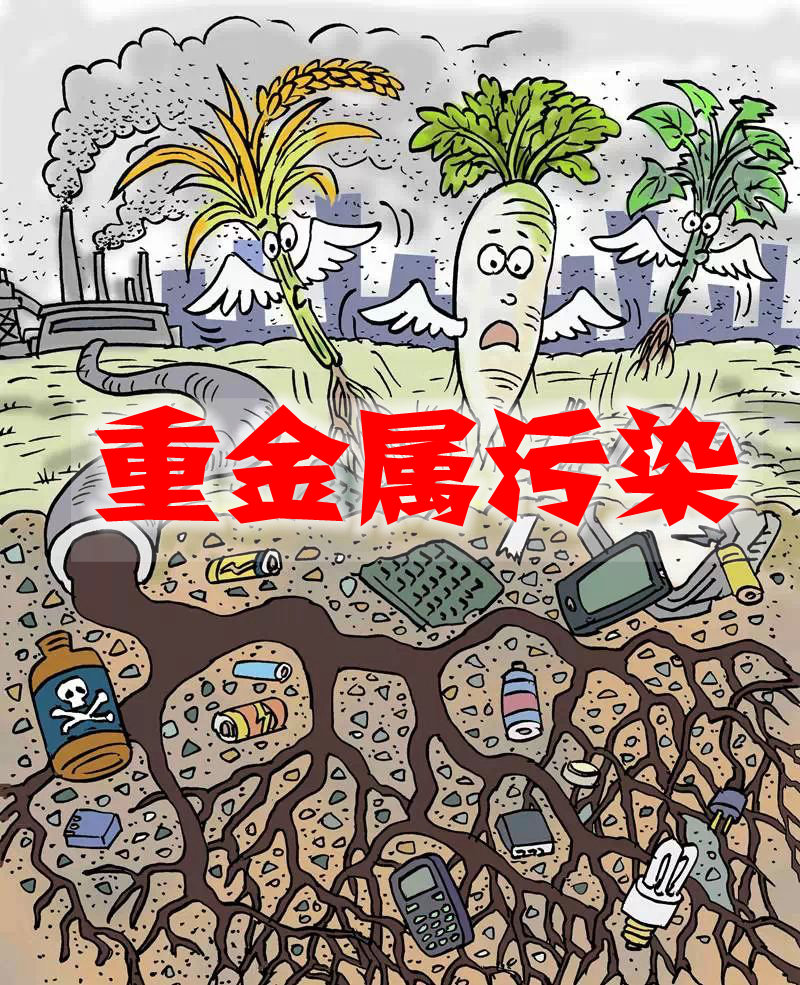 9月会议专题