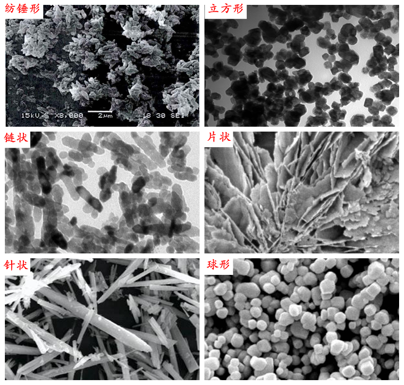 不同晶型碳酸钙晶SEM照片
