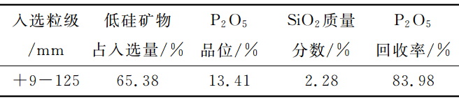 光电选矿技术在磷矿中的应用