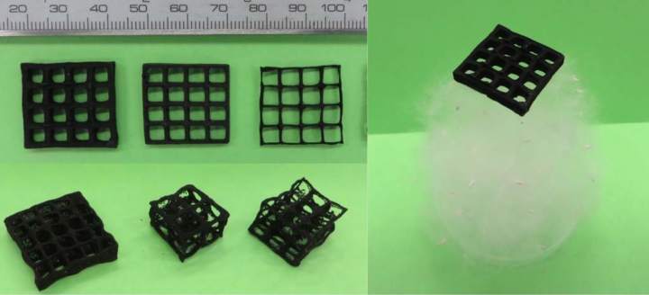 石墨烯气凝胶—作为最轻的3D打印材料创吉尼斯纪录