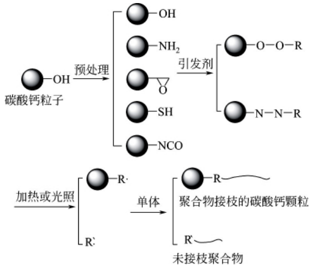碳酸钙表面羟基接枝聚合改性法原理