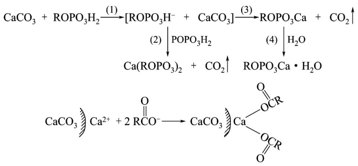 磷酸醋类、硬脂酸与碳酸钙反应示意图