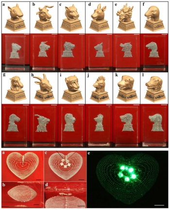 理化所提出液态金属悬浮3D打印方法
