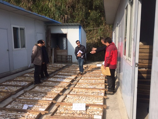 江西遂川探获玻璃用石英岩4.22亿吨,98%高纯矿物高达1.56亿吨
