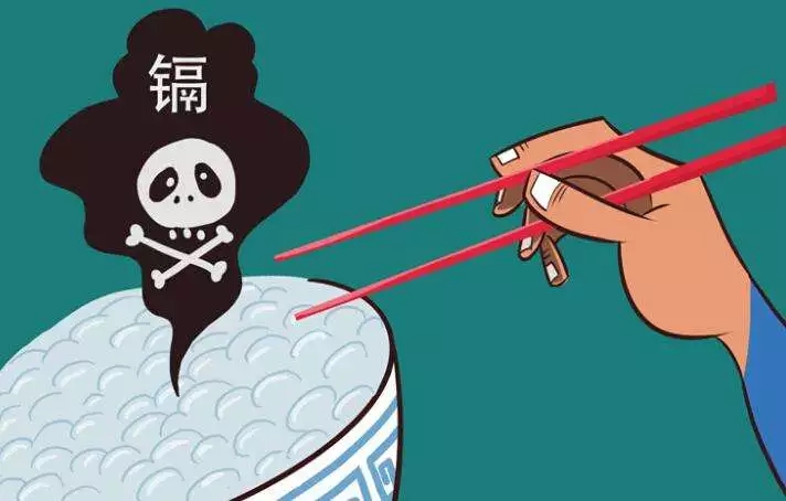 非金属 矿物 功能材料 土壤修复