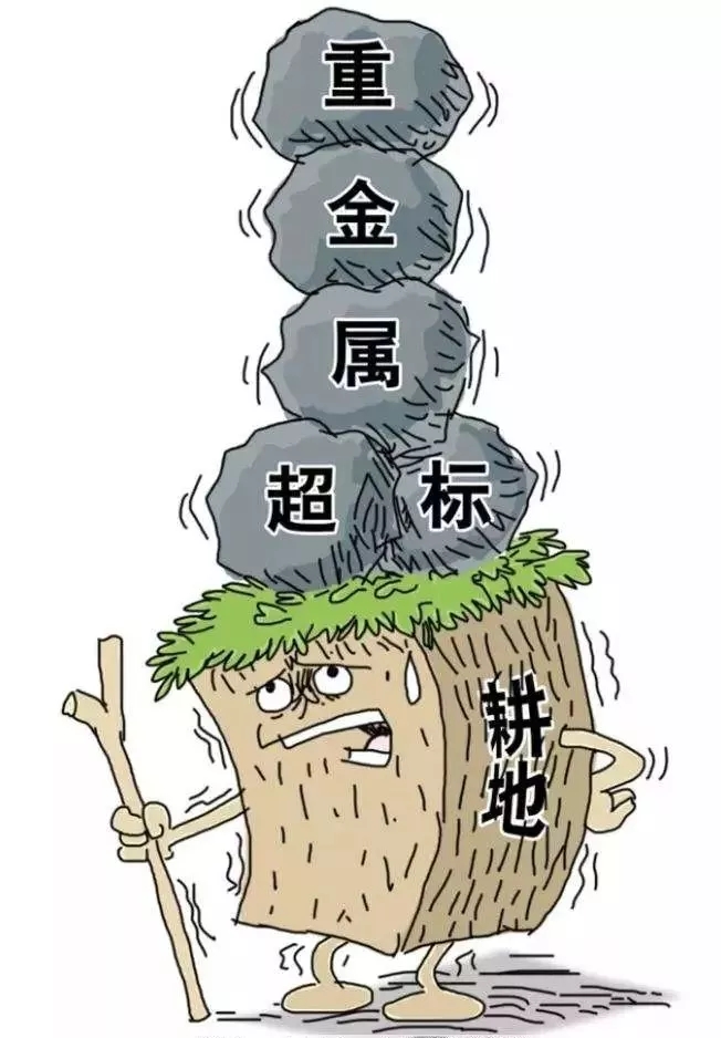 非金属 矿物 功能材料 土壤修复