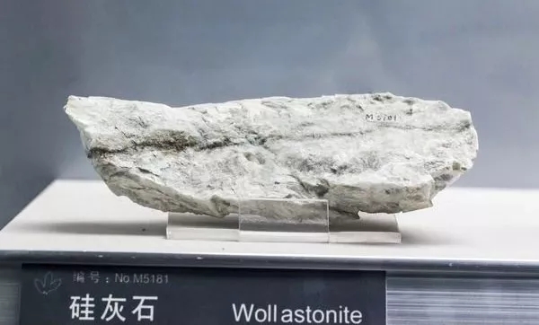 涂料行业 钛白粉 非金属矿 粉体