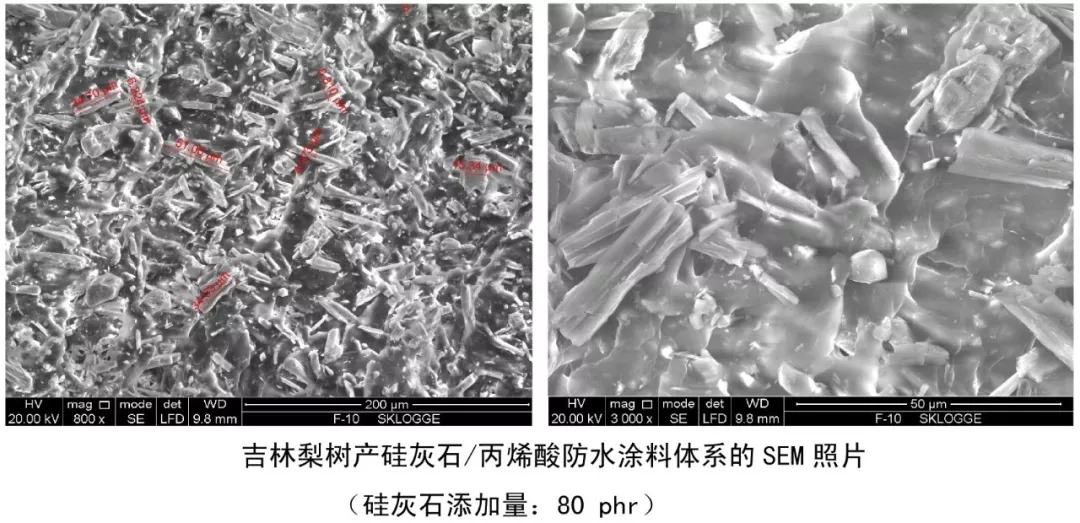 硫酸钡 硅灰石 伊利石 防水涂料