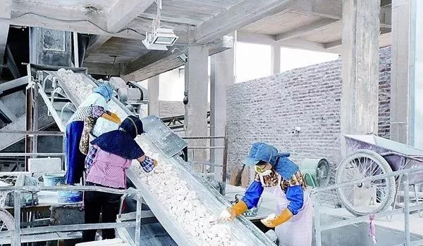 环保 碳酸钙