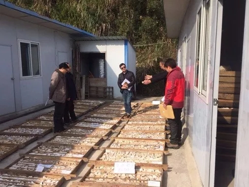 非金属矿 新发现