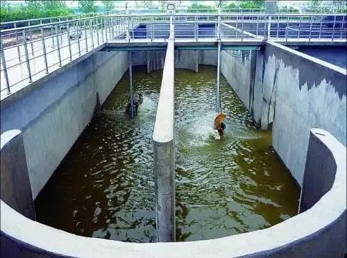 海泡石 有机污染物治理