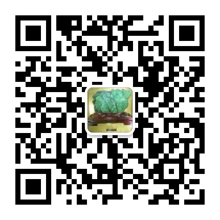 石英 改性 尾矿处理 培训班 2019
