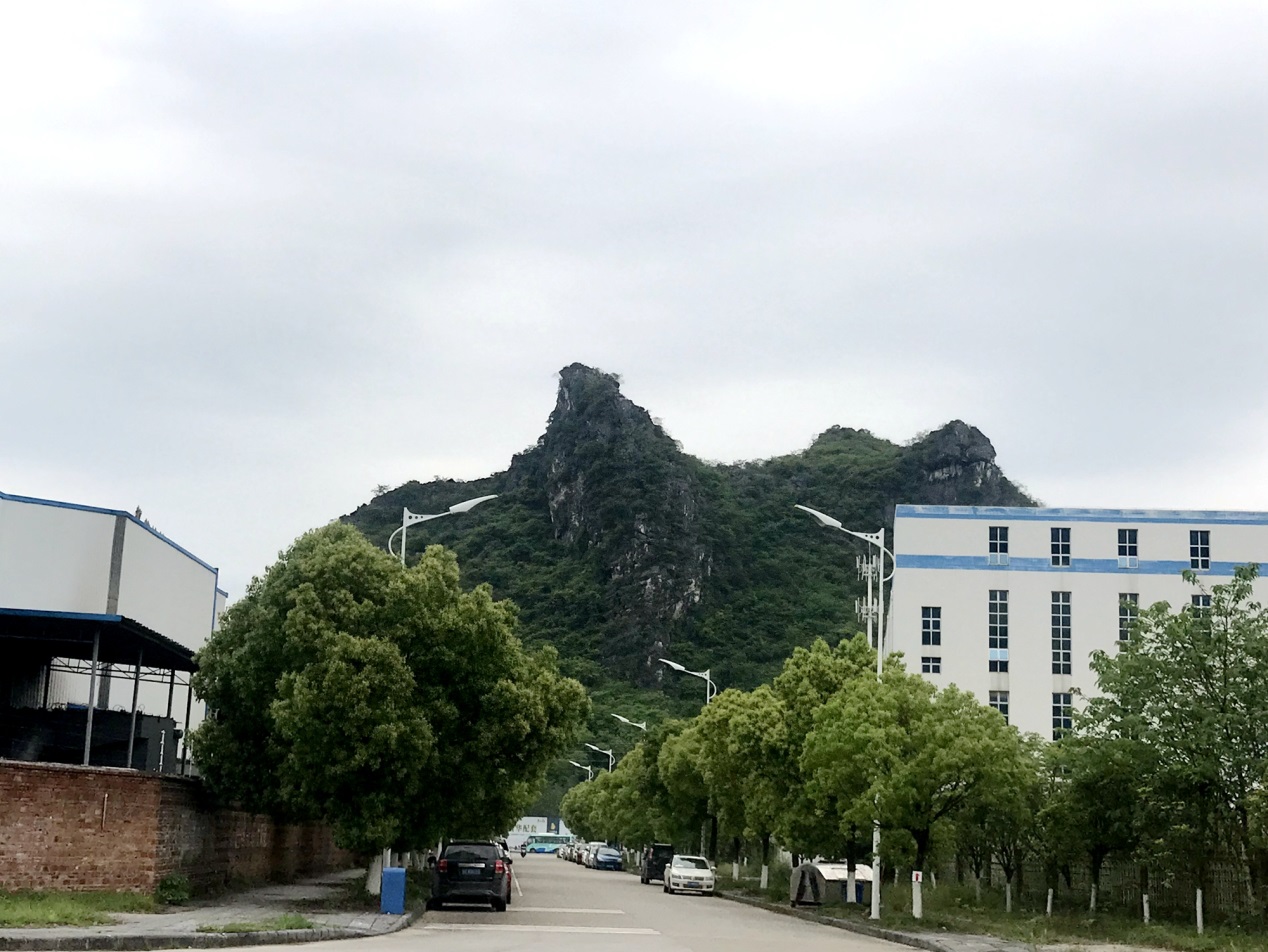 烟雨桂林行—2019国际石灰展走进桂林鸿程