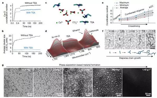 浙大最新Nature:碳酸钙变“形”记
