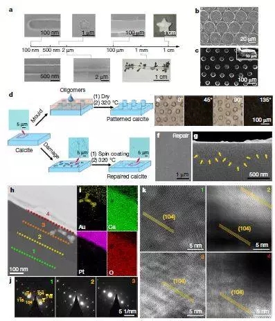 浙大最新Nature:碳酸钙变“形”记