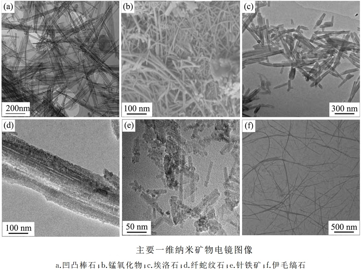 “天生”的纳米矿物资源及其开发利用