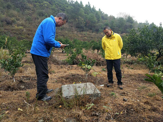 江西渝水-上高地区圈定9个硅灰石、8个透辉石矿体！