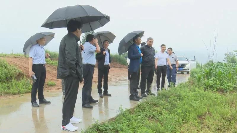 陕西洛南4亿元碳酸钙项目即将开建！